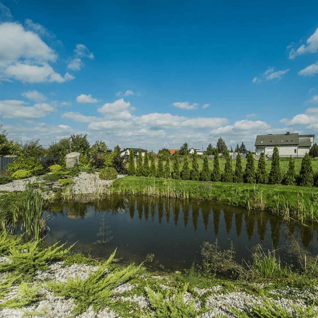 Globos namų teritorijoje esantis dekoratyvinis tvenkinys su želdiniais ir tvarkinga aplinka
